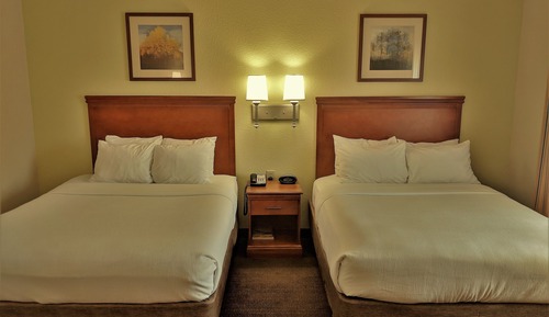 Studio Suite, 2 Double Beds