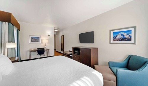 Standard Room, 1 King Bed, Non Smoking, Refrigerator & Microwave (Pet Friendly)