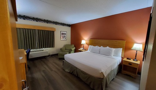Room, 1 Bedroom, Non Smoking (1 King Bed)