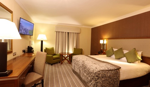 Executive Double Room, 1 King Bed