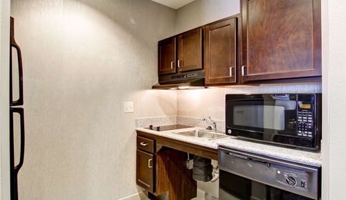 1 King Studio Suite Accessible (Roll In Shower)
