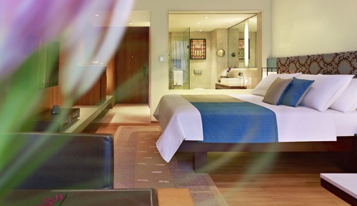 Deluxe Room, 1 King Bed