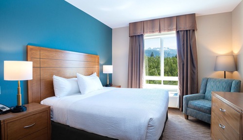 Standard Room, 1 King Bed with Sofa bed