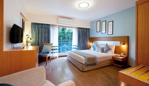 Studio, 1 King Bed