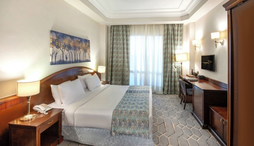 Egyptian and Egyptian Residents Only - Standard Room