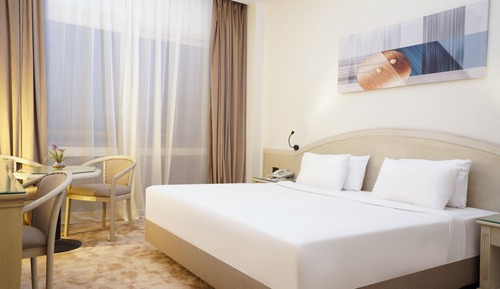 Egyptian and Egyptian Residents Only - Deluxe room