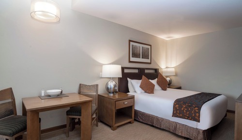 Premium Studio Suite, 1 King Bed with Sofa bed