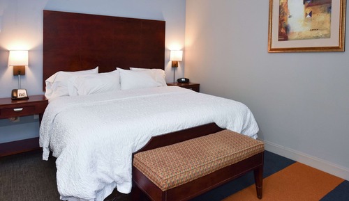 Room, 1 King Bed, Accessible, Non Smoking