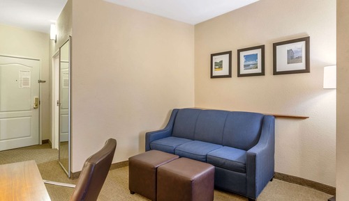 Suite, 1 King Bed with Sofa bed