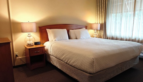 Room, 1 King Bed with Sofa bed