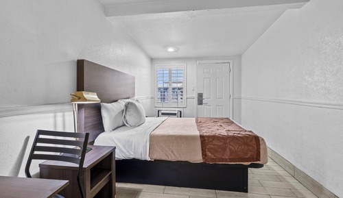 Executive Single Room, 1 Bedroom, Non Smoking