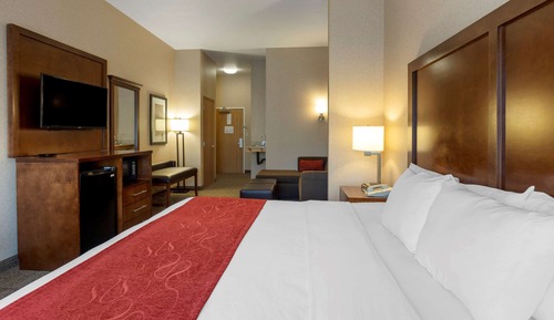 Suite, 1 King Bed with Sofa bed