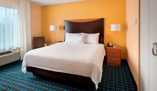 Room, 1 King Bed (Mobility/Hearing Access, Roll-In Shwr)