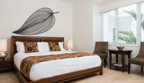 Studio, 1 King Bed