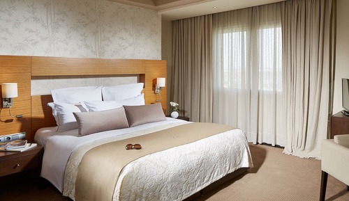 Suite, 1 Queen Bed