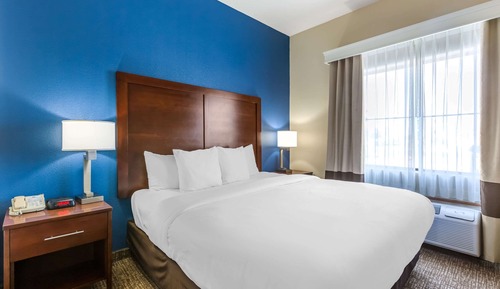 Suite, 1 King Bed with Sofa bed, Non Smoking