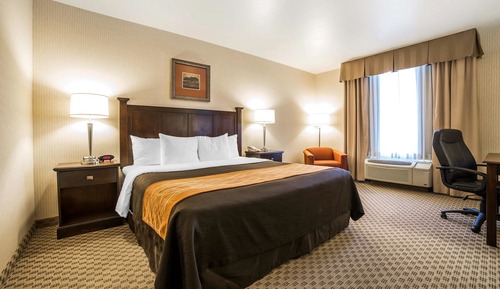 Standard Room, 1 King Bed, Non Smoking