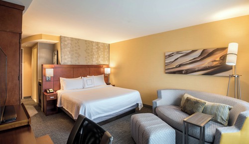 Room, 1 King Bed with Sofa bed, Non Smoking (Mobility/Hearing Access, Roll-in Shwr)