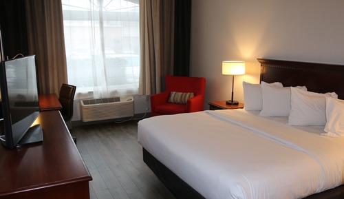 Room, 1 King Bed, Non Smoking