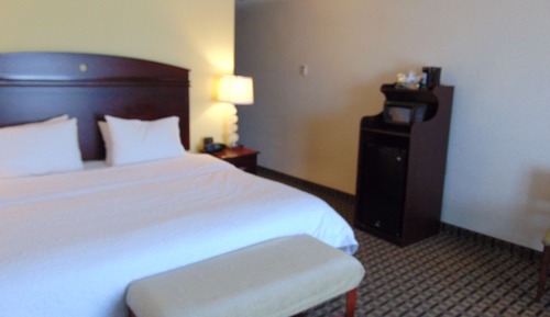 Room, 1 King Bed
