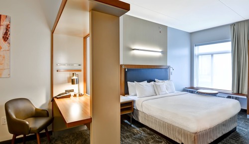 Studio, 1 King Bed with Sofa bed (Mobility/Hearing Access, Roll-In Shwr)