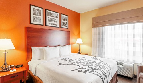 Standard Room, 1 King Bed, Non Smoking