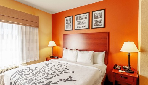 Suite, 1 King Bed with Sofa bed, Non Smoking