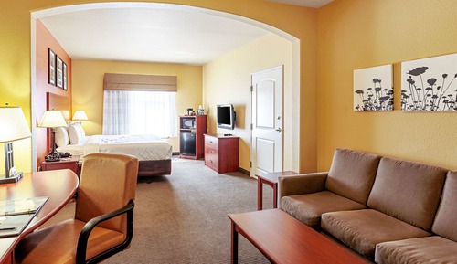 Suite, 1 King Bed with Sofa bed, Accessible, Non Smoking