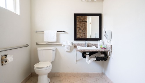 Single Room, 1 King Bed, Accessible