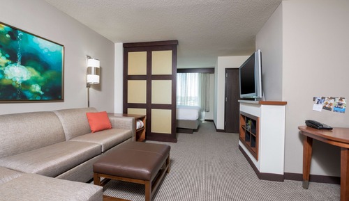 Room, 1 King Bed with Sofa bed (High Floor)