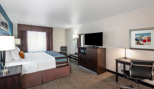 Standard Room, 1 King Bed, Non Smoking, Refrigerator & Microwave