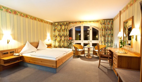Standard Double Room Single Use