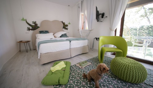 Comfort Room