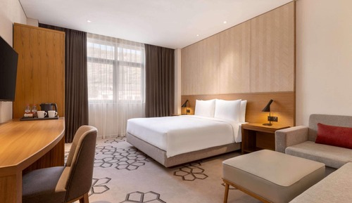 Room, 1 King Bed with Sofa bed