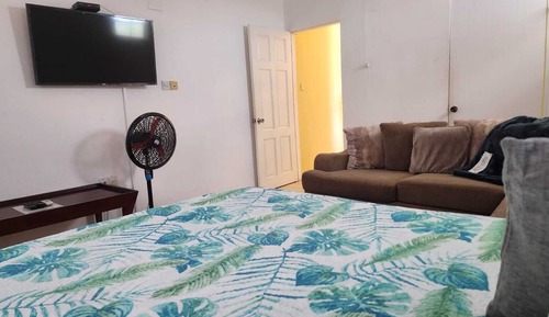 Apartment, 1 Queen Bed, Non Smoking, Mountain View