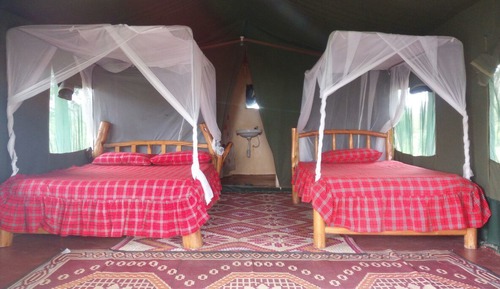 Double or Twin Room