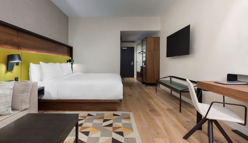 Room, 1 King Bed with Sofa bed