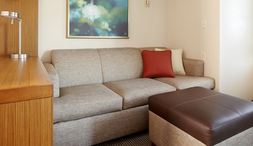 Room, 1 King Bed with Sofa bed (Specialty)