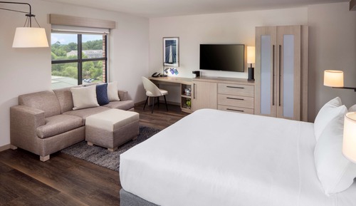 Room, 1 King Bed with Sofa bed, Accessible (ADA with Shower)