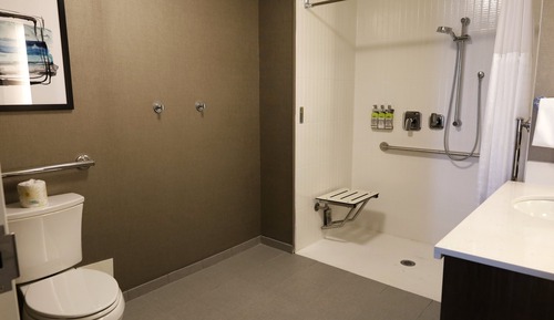 Suite, 1 Bedroom, Roll-in Shower, Kitchen (Communications Accessible)