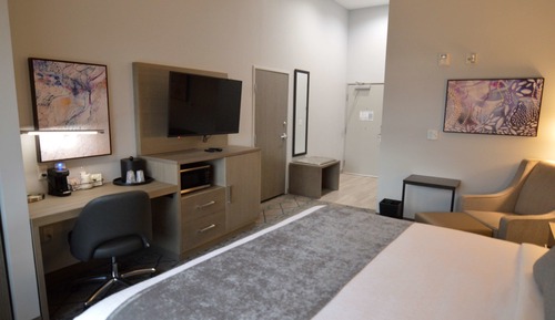 Standard Room, 1 King Bed, Accessible, Refrigerator & Microwave (Walk-in Shower)