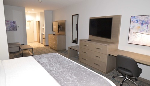 Suite, 1 King Bed, Non Smoking, Refrigerator & Microwave (Shower Only;with Sofabed)