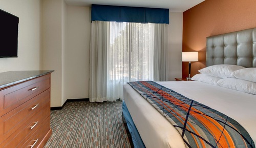 Deluxe Room, 1 King Bed, Accessible, Refrigerator & Microwave (Board Room Table, Roll in Shower)
