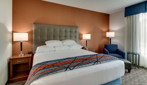 Deluxe Room, 1 King Bed, Accessible, Refrigerator & Microwave (Roll in Shower)