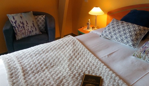 Double or Twin Room, Ensuite, Garden View (Chambre " Rétro ")