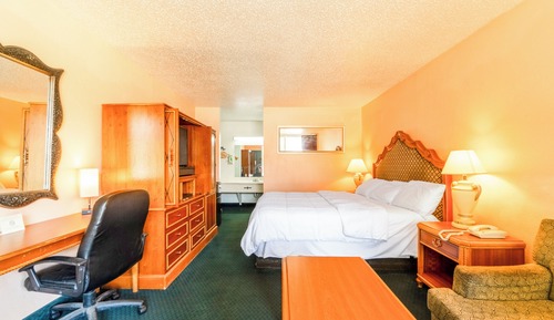 Room, 1 King Bed