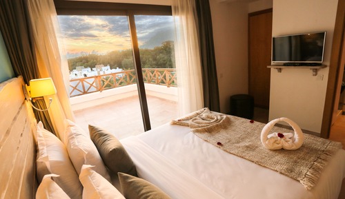 Premium Suite, Multiple Beds, Non Smoking, Pool View
