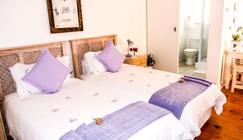 Basic Twin Room, 1 Bedroom