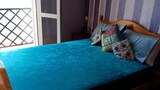 Apartment, 1 Bedroom, Beach View