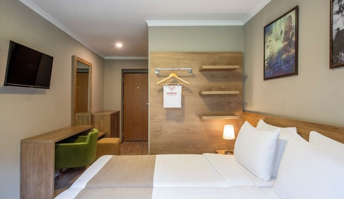 Standard Double Room, Mountain View